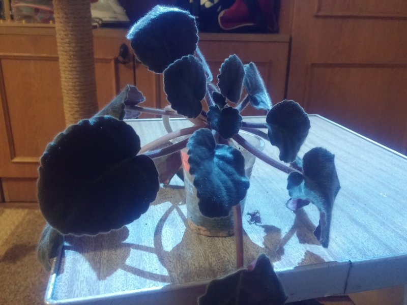 2016-12-07 21.35.52.jpg