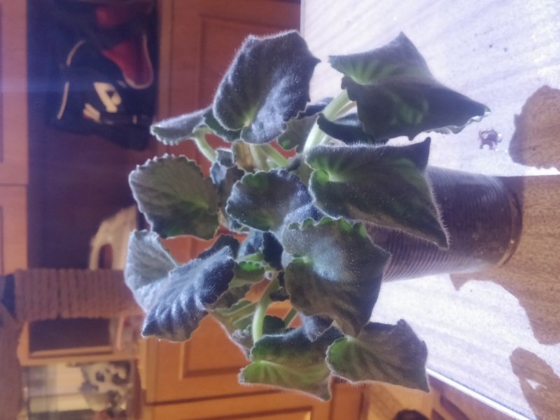 2016-12-07 21.36.45.jpg