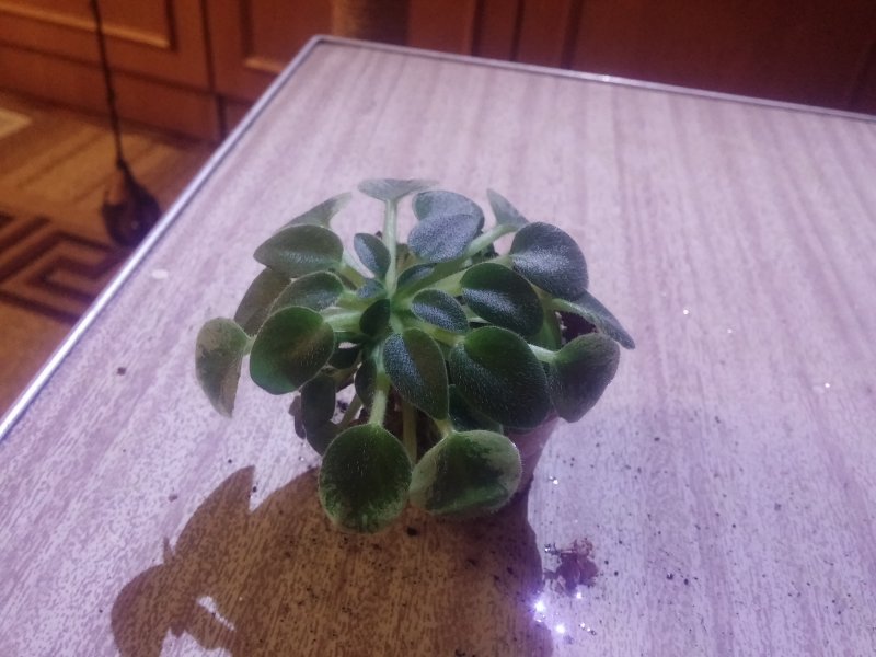 2016-12-07 21.38.07.jpg