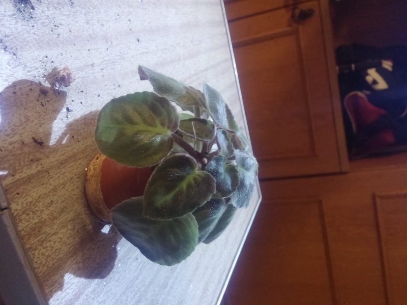 2016-12-07 21.39.31.jpg