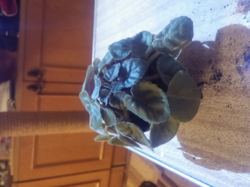 2016-12-07 21.40.25.jpg