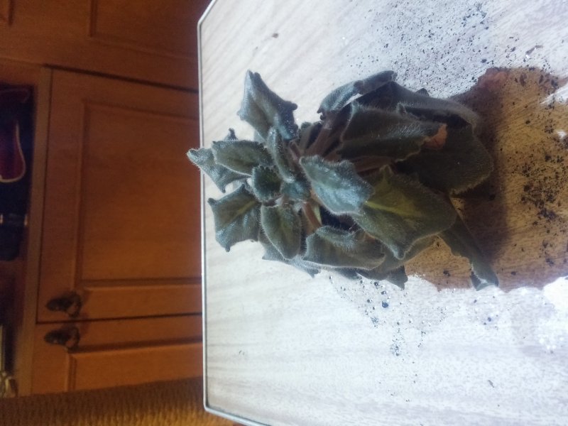 2016-12-07 21.40.55.jpg