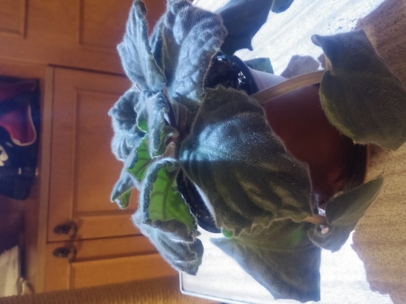 2016-12-07 21.43.51.jpg