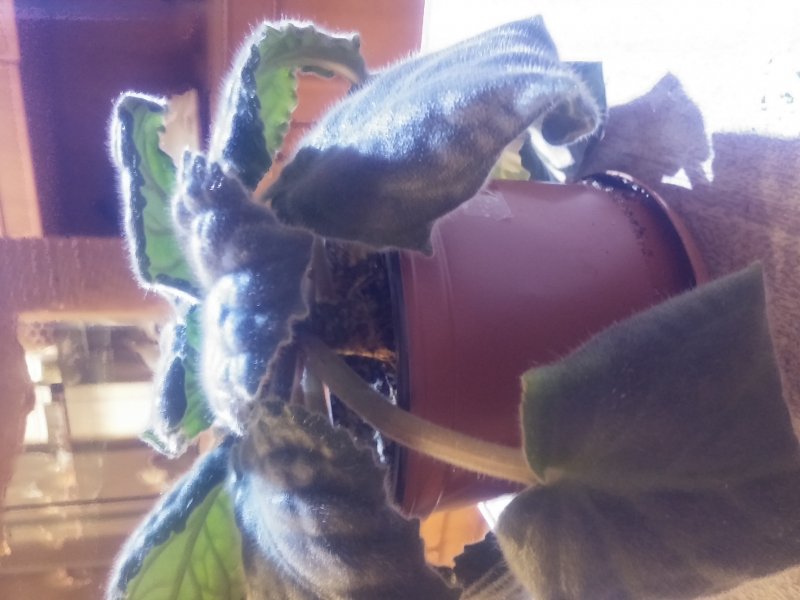 2016-12-07 21.43.56.jpg