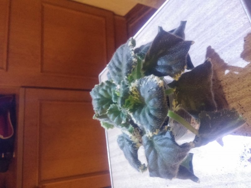 2016-12-07 21.44.45.jpg