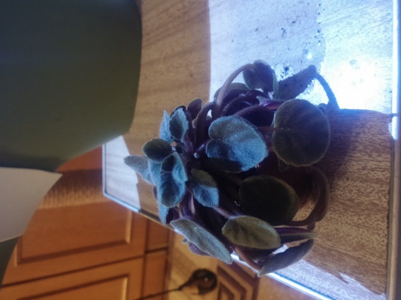 2016-12-07 21.45.57.jpg