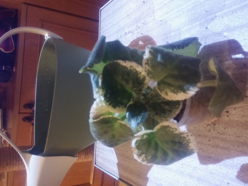 2016-12-07 21.46.39.jpg