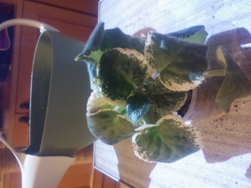 2016-12-07 21.46.45.jpg