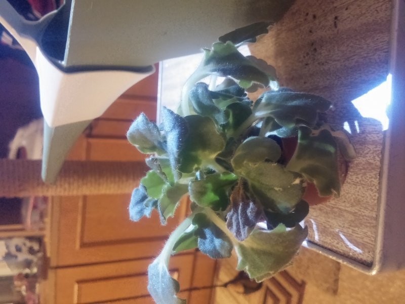 2016-12-07 21.47.27.jpg