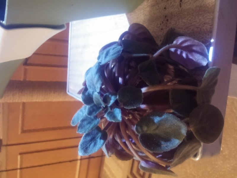 2016-12-07 21.47.40.jpg