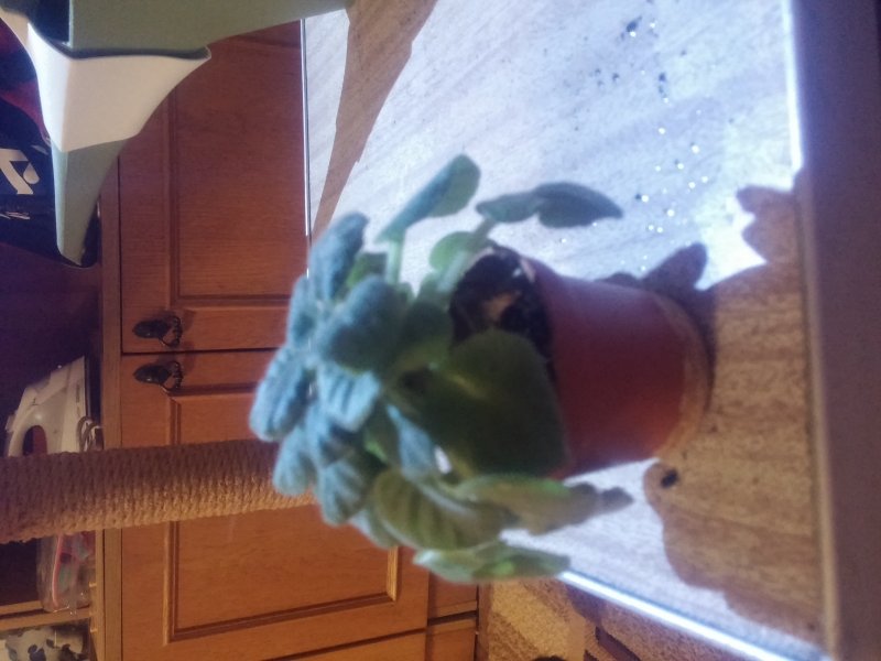 2016-12-07 21.49.52.jpg