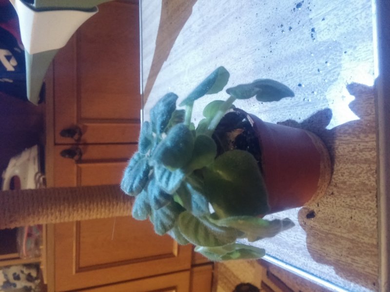 2016-12-07 21.49.56.jpg