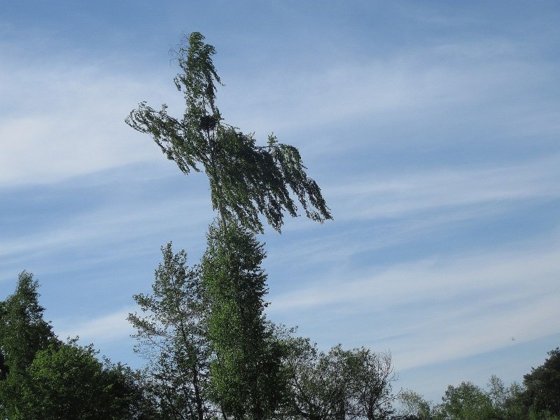 Изображение 867.jpg