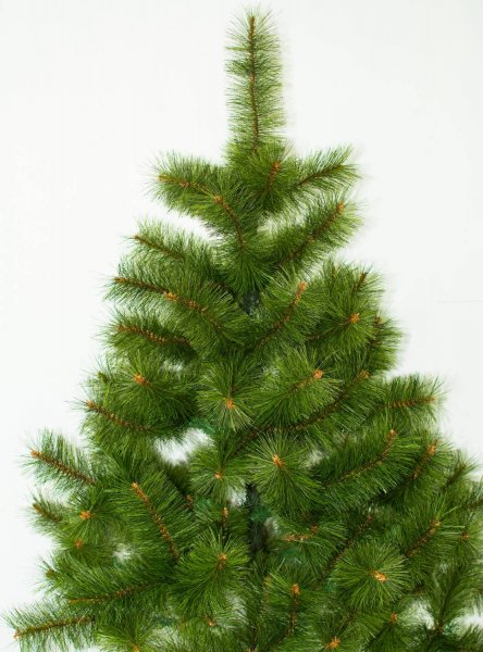 Сосна Мікс (жилка) 1.jpg