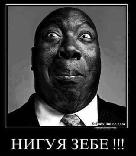 нигуя зебе.jpg