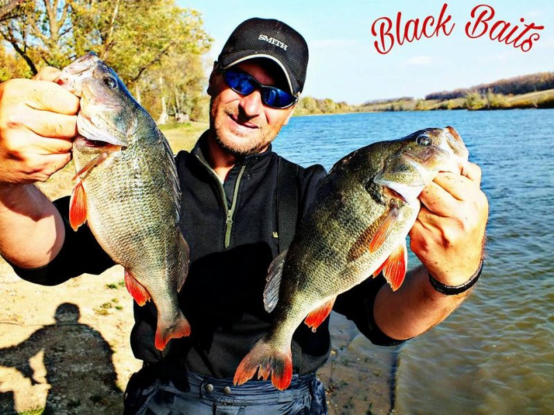 Блек Бейтс.jpg