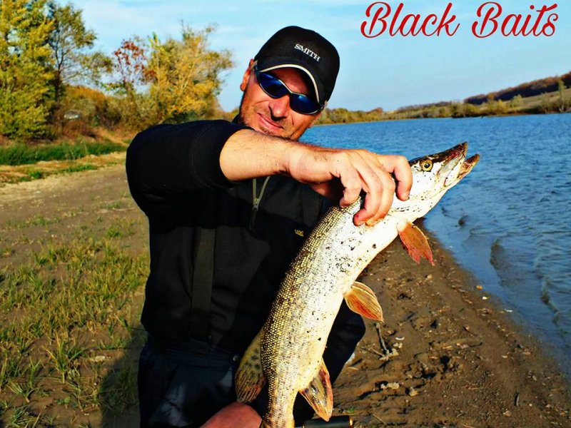 Блек Бейтс1.jpg