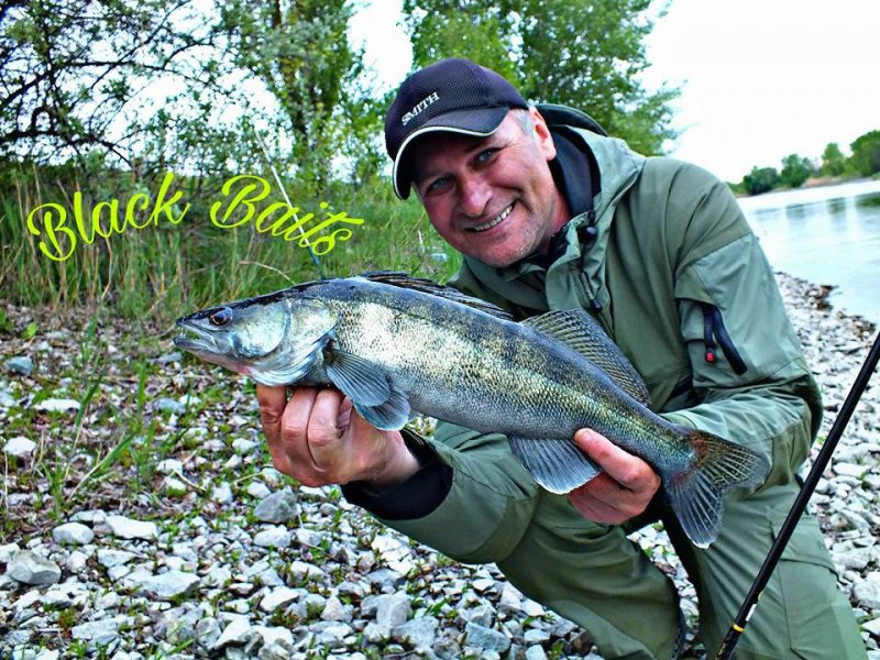 Блек Бейтс2.jpg