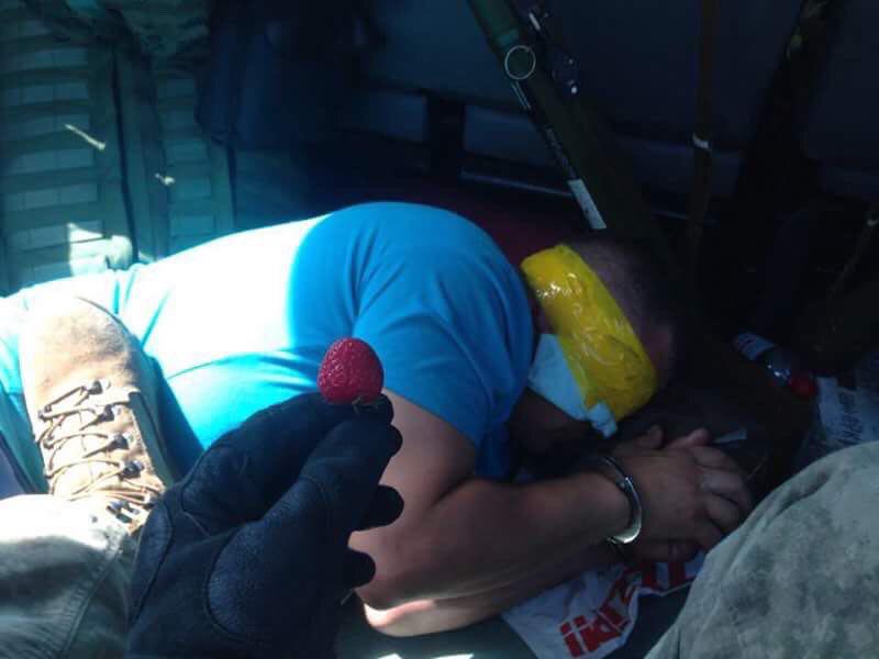 Сєпар і полуниця.jpg