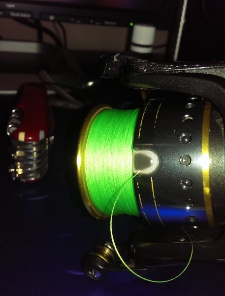 2017-03-01 19.56.57.jpg