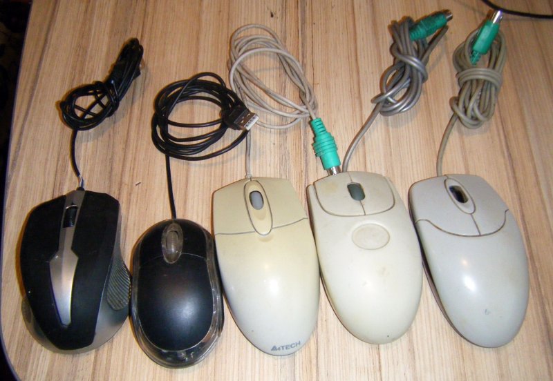 mouse-1.thumb.JPG.c712d57703608a9810a09c8aa6d653df.JPG