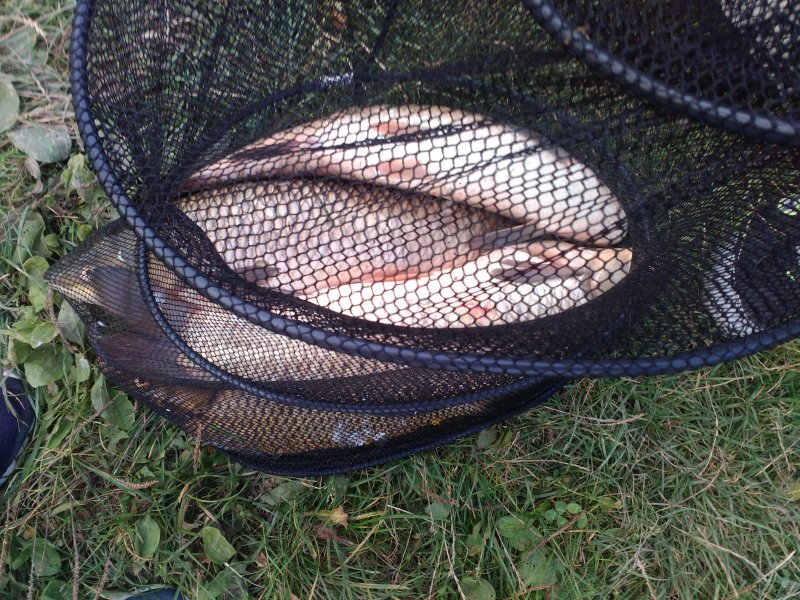 IMG_20170910_185541 (1).jpg