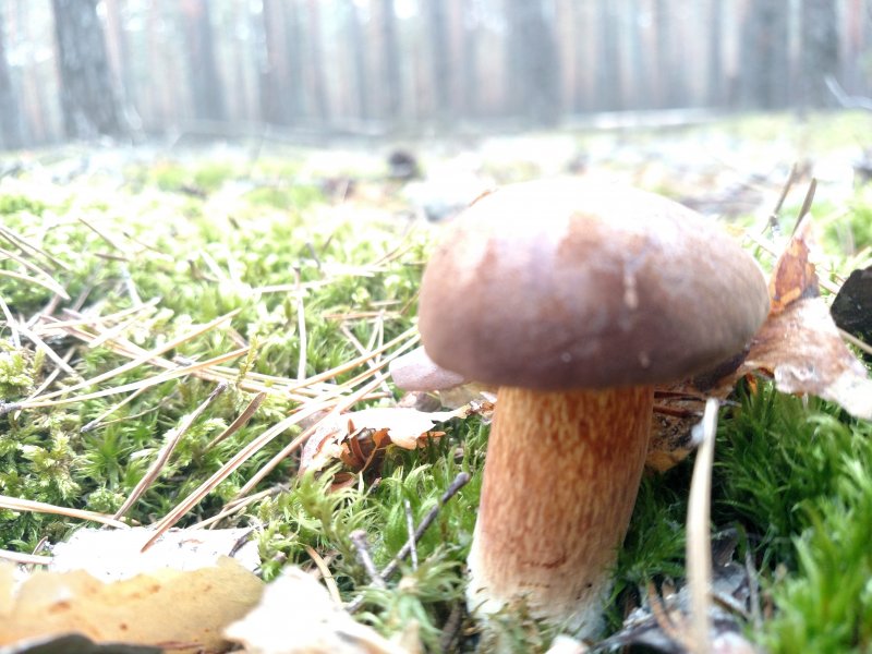 2017-09-16 11.18.07.jpg