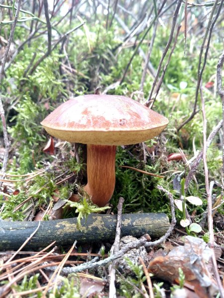 2017-09-16 11.21.13.jpg