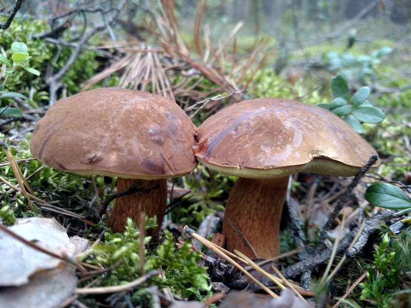 2017-09-16 11.27.30.jpg