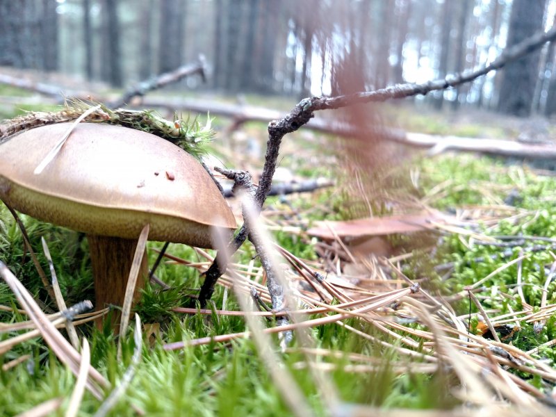 2017-09-16 13.27.04.jpg