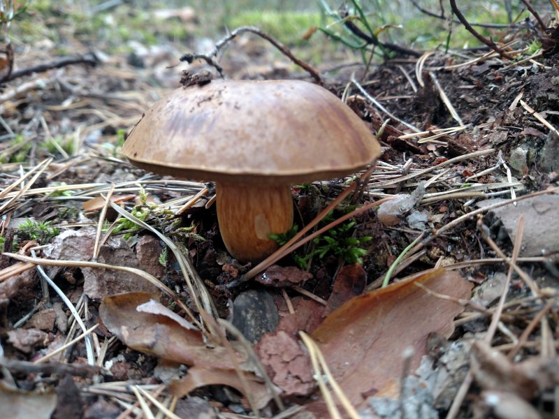 2017-09-16 13.46.23.jpg