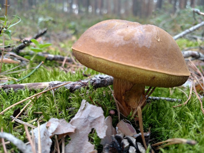 2017-09-16 14.02.45.jpg