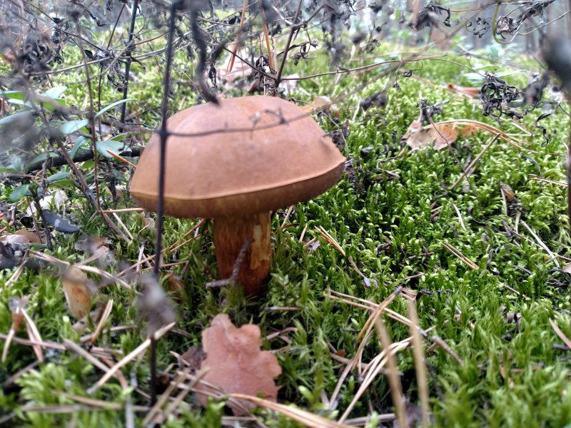 2017-09-16 14.03.12.jpg