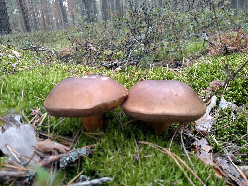 2017-09-16 14.03.23.jpg