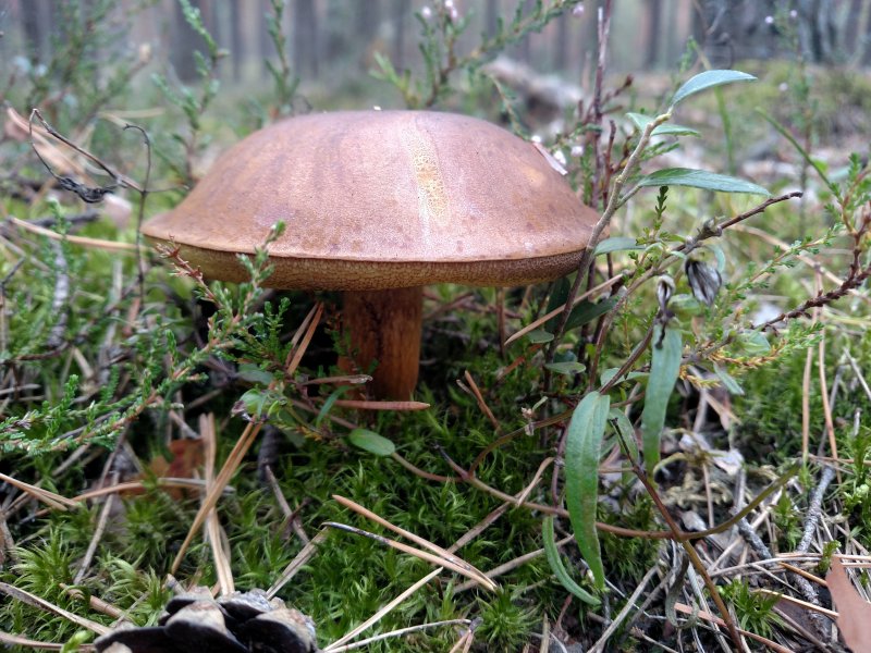 2017-09-16 14.10.26.jpg