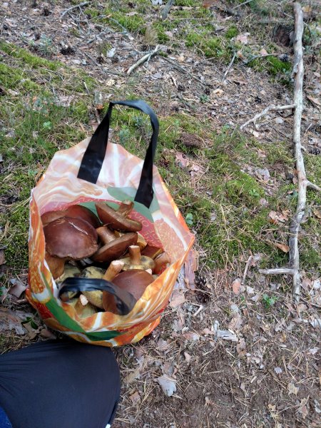 2017-09-16 14.10.49.jpg