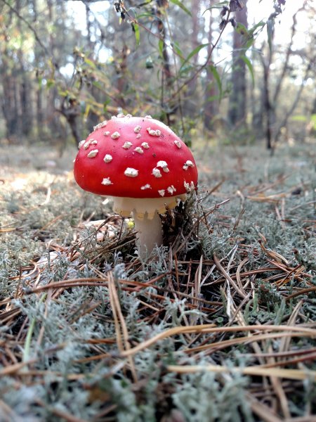 2017-09-17 09.47.33.jpg