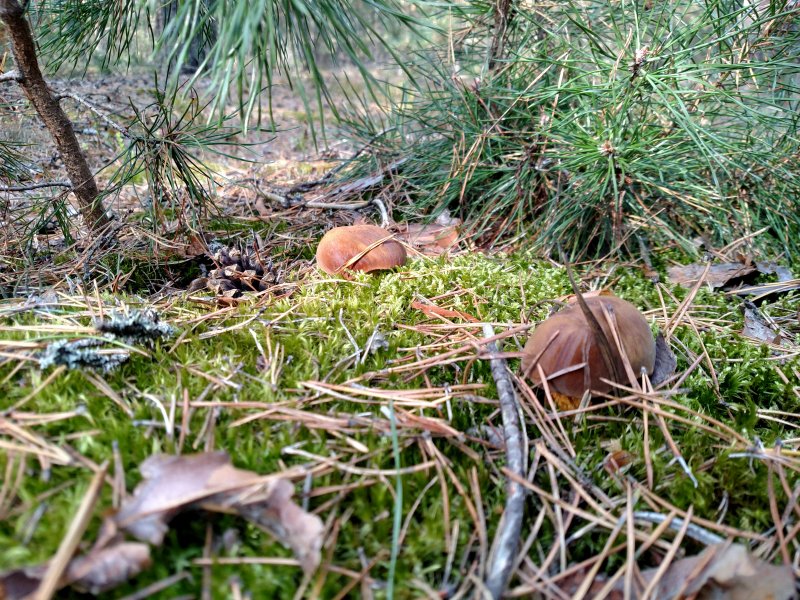 2017-09-17 10.01.11.jpg