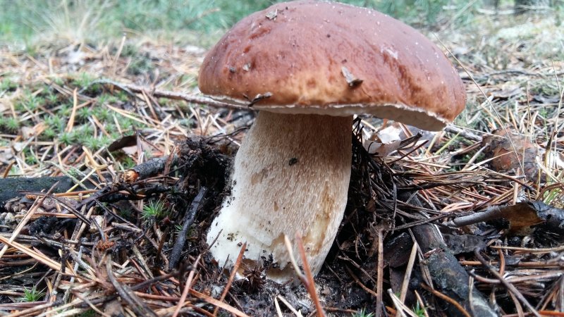 2017-09-08 11.46.21.jpg