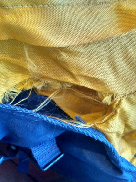 photo_2017-07-01_21-51-52 (2).jpg