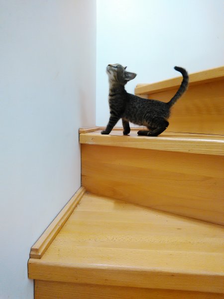 IMG_20170909_191232 (1).jpg