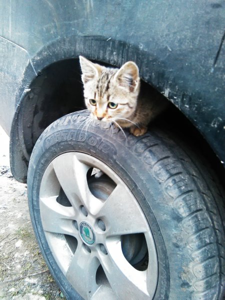 IMG_20170928_185303 (1).jpg