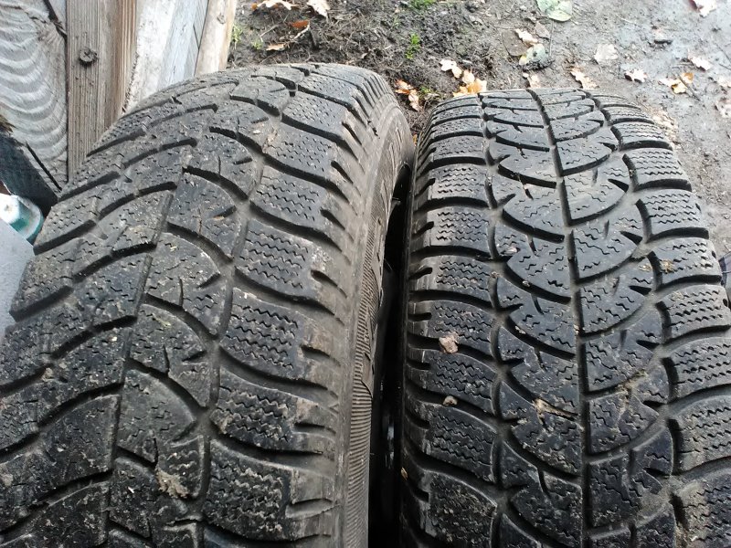 келлі вінтер ст (5).jpg