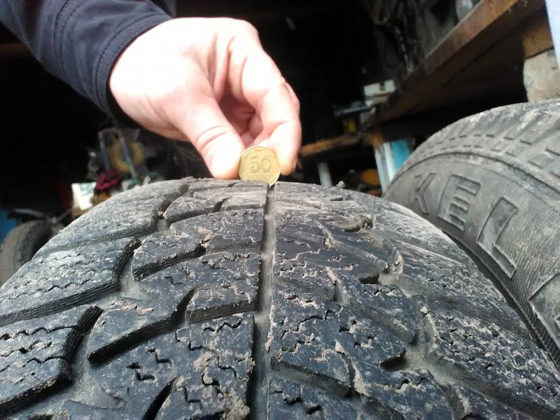 келлі вінтер ст (1).jpg