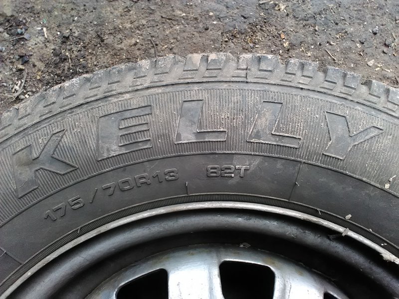 келлі вінтер ст (3).jpg