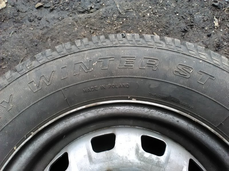 келлі вінтер ст (4).jpg