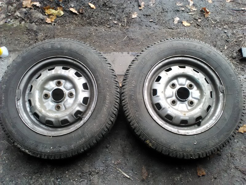 келлі вінтер ст (2).jpg