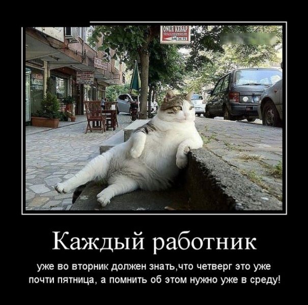1513859632_demotivatory_19.jpg