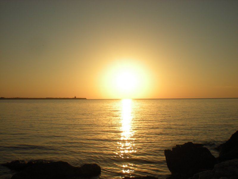 Изображение 029.jpg