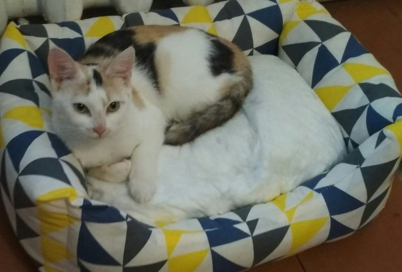 photo_2023-03-17_18-12-47 (2).jpg